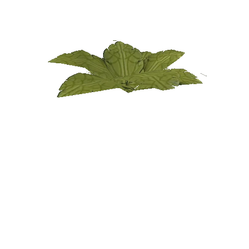 Plant36 (1)